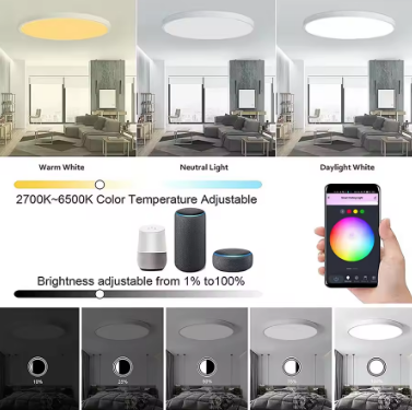 Tuya Smart WiFi Ceiling Light 24W 220V RGB Circular Ambient Lamp APP Control Work With Alexa Google Home For Bedroom Home Decor